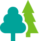 two trees